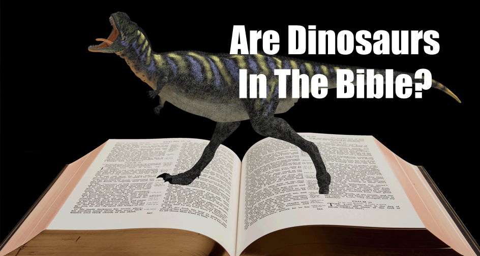 Dinosaurs In THe Bible