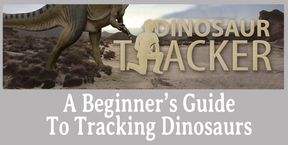 Learn to Track Dinosaurs
