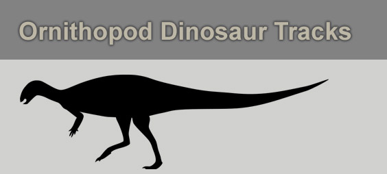 identifying ornithopod dinosaur tracks
