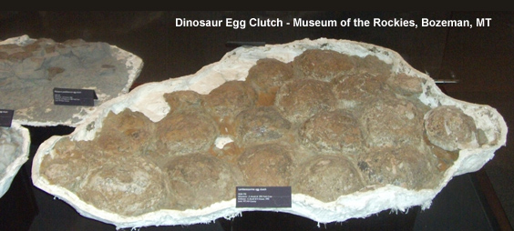 Dinosaur Egg Clutch