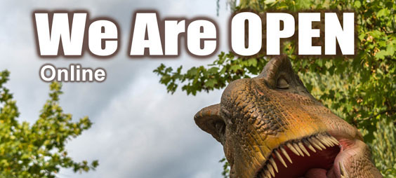 Dinosaur Tracker Museum Is Open Online