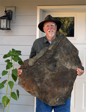 larger fossil slab
